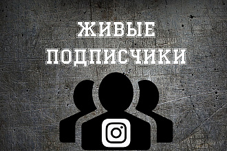 Подписчики в instagram