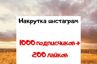 1000 подписчиков в инстаграм + 200 лайков на последние 10 записей