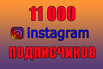 11000 инстаграм подписчиков