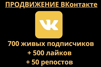 700 живых подписчиков +500 лайков +50 репостов ВКонтакте. Продвижение