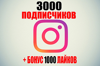 3000 подписчиков Instagram + бонус 1000 лайков