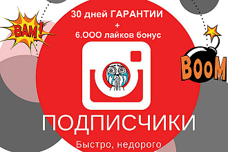 Instagram подписчики гарантия тридцать дней