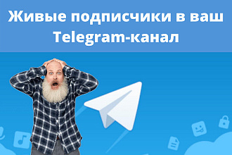 300 живых подписчиков в ваш Telegram канал