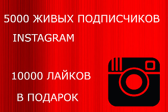 5000 подписчиков в Instagram + подарок 10000 лайков