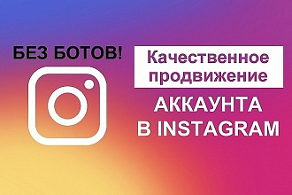 Качественное продвижение аккаунта instagram