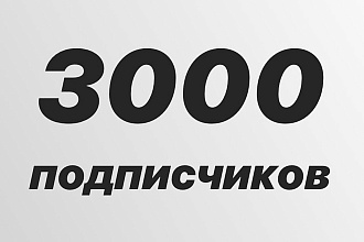 3000 подписчиков 500 рублей