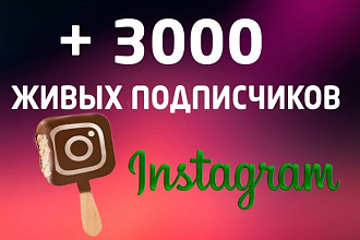 +3000 Живых подписчиков на профиль в Instagram