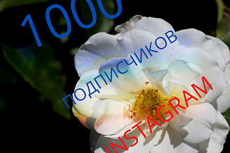 1000 рускоязычных инстаграм подписчиков