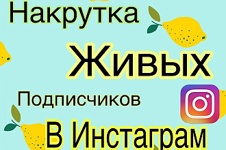 Живые подписчики в Инстаграм