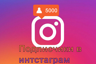 Живые подписчики в инстаграм
