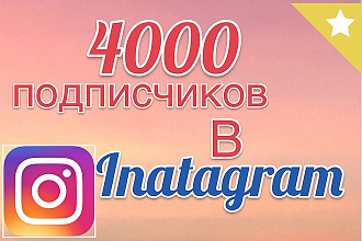 Подписчики в instagram