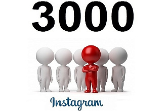 3000 подписчиков Instagram+ Бонус