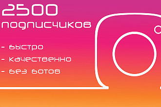 Привлеку 2500 подписчиков в Инстаграм. Быстро и качественно + бонус