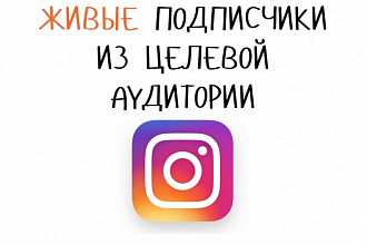 Привлеку 500 живых целевых подписчиков в ваш instagram. Никаких ботов!