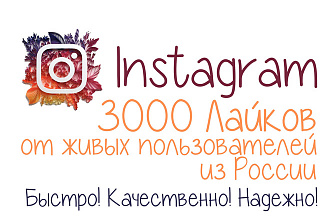 3000 Лайков от живых пользователей из России в Instagram