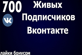 Привлеку 700 живых подписчиков Вконтакте