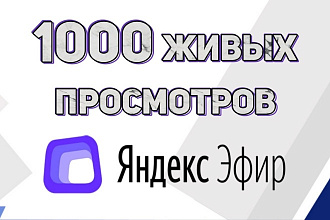 Обеспечу 1000 живых просмотров видео для монетизации в Яндекс Эфире