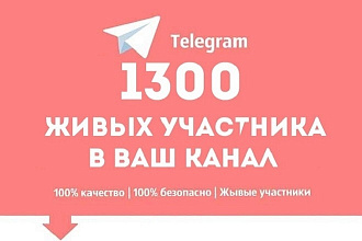 +1300 подписчиков на ваш канал или группу в Telegram