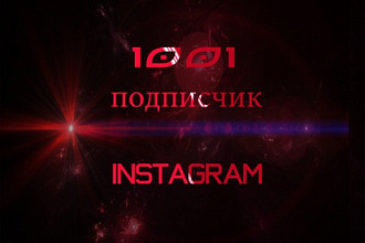 1001 подписчиков на ваш профиль в Instagram
