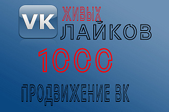 1000 лайков на публикации в ВКонтакте + бонус 100 вступивших в группу