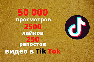 Tik tok просмотры 50 000 +2500 лайков +250 репостов видео Тик Ток