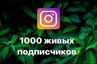 1000 живых подписчиков для Instagram