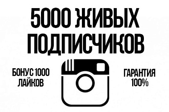 5000 подписчиков инстаграм + 1000 лайков