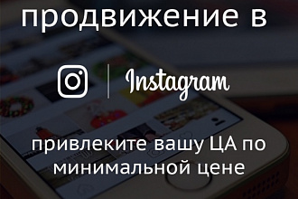 Привлеку подписчиков в Instagram