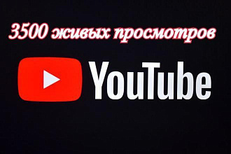 3500 просмотров YouTube