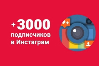 Подписчики в instagram - 3000 людей