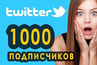 1000 активных подписчиков фолловеров в Твиттер + 100 лайков
