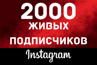 2000 реальных подписчиков В Instagram