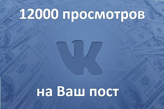 12000 просмотров Вашего поста VK