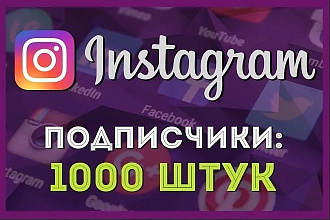 Подписчики в Instagram