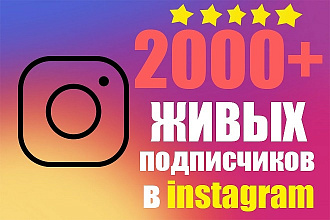 2000+ живых подписчиков В Instagram