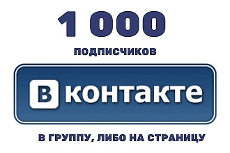 1000 подписчиков в паблик вконтакте