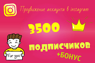 3500 подписчиков на аккаунт в инстаграме + 2000 лайков