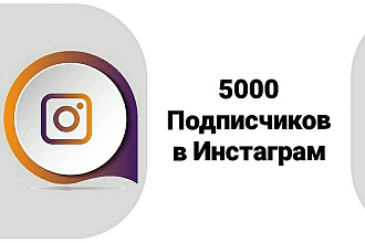 Подписчики в Инстаграм