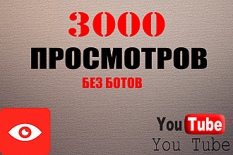 3000 просмотров Ютуб