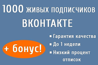 1000 живых подписчиков Вконтакте + бонус 1000 лайков на любой пост