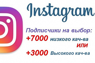 Instagram. Подписчики +7000 или +3000. Выбор за Вами