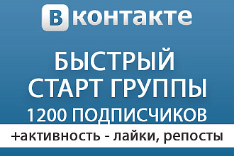 Стартовая раскрутка Вконтакте - 1200 подписчиков, лайки и репосты