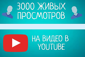+ 3000 живых просмотров на ваше видео в ютуб