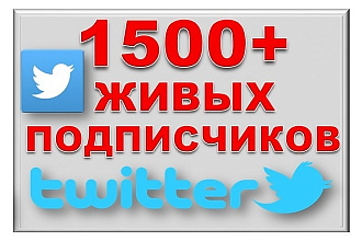 1700 подписчиков в ваш аккаунт Twitter