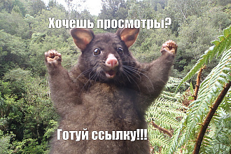 Наберу просмотры вам на ютубе