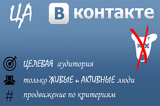 Целевая аудитория в Вашу группу Вконтакте
