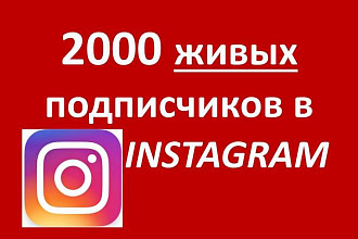 2000 живых подписчиков в instagram