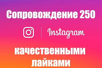 Сопровождение страницы Instagram лайками