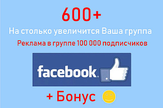 Купить подписчиков в Facebook на публичную страницу за 500 рублей