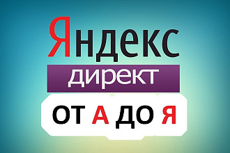 Профессиональная настройка в Я. Д под ключ